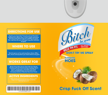 Load image into Gallery viewer, Bitch Be Gone Design Add On