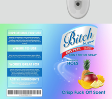 Load image into Gallery viewer, Bitch Be Gone Design Add On