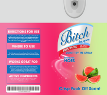 Load image into Gallery viewer, Bitch Be Gone Design Add On