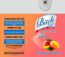 Load image into Gallery viewer, Bitch Be Gone Design Add On