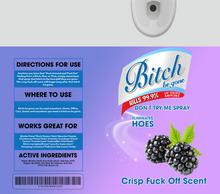 Load image into Gallery viewer, Bitch Be Gone Design Add On