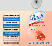 Load image into Gallery viewer, Bitch Be Gone Design Add On