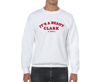 Load image into Gallery viewer, Christmas Sweater Collection - Multiple Designs