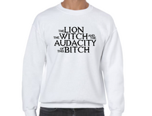 Load image into Gallery viewer, Funny/Offensive Sweater Designs - Multiple Designs
